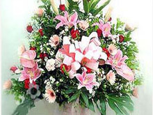欣欣向荣